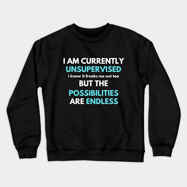 I Am Currently Unsupervised Sarcastic Humor Gift Crewneck Sweatshirt by Arda